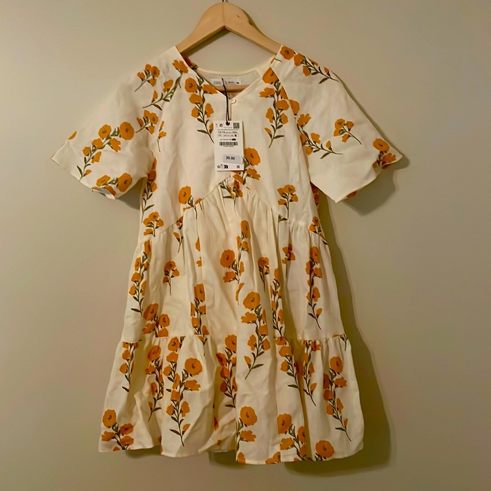 Zara Dress